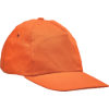 8968849784862-03140007_LEO_orange_CERVA 2016_14929.tif.png